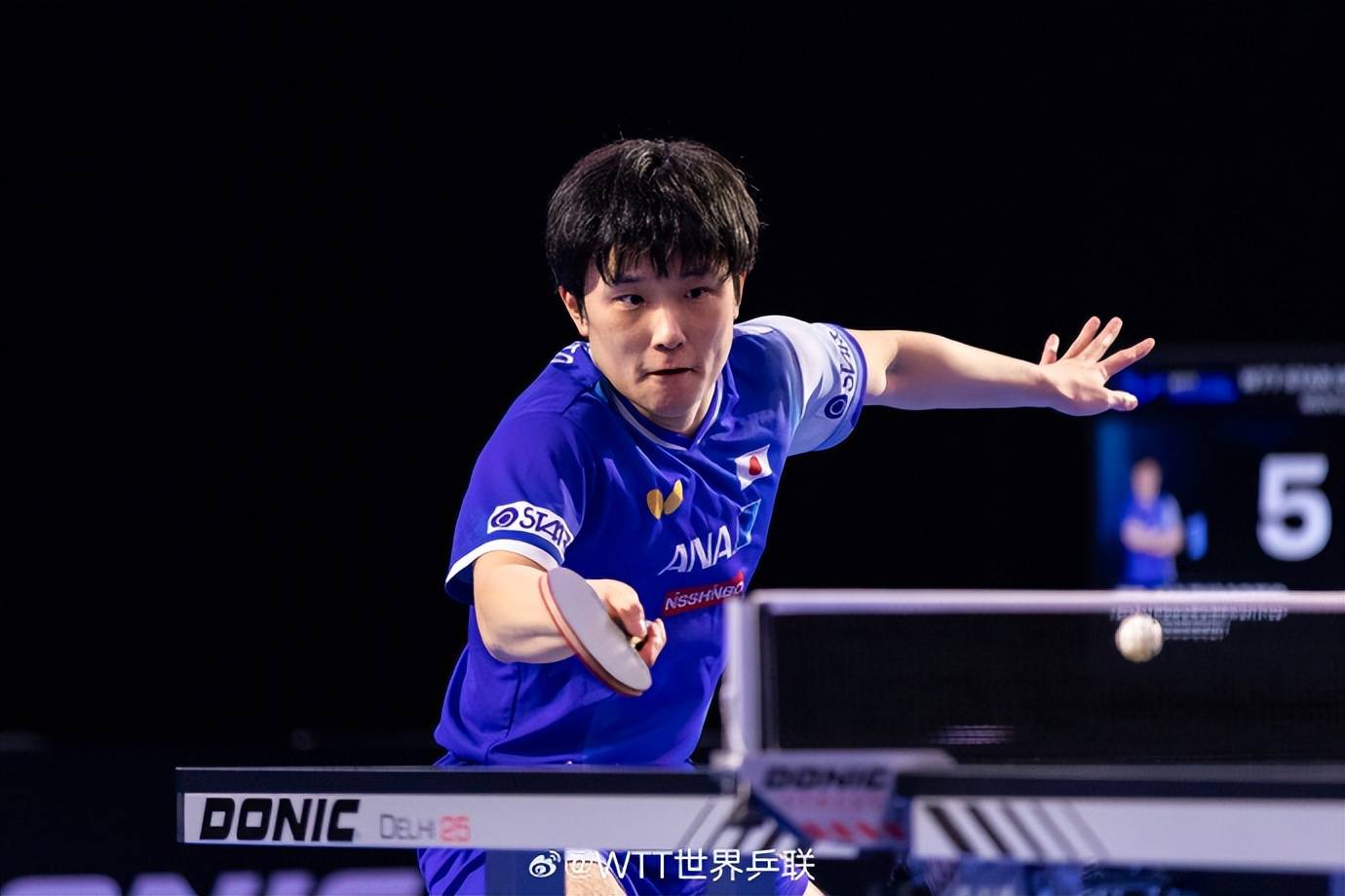 奥地利队横扫波兰队,张本智和统治全场 奥地利队横扫波兰队,张本智和统治全场