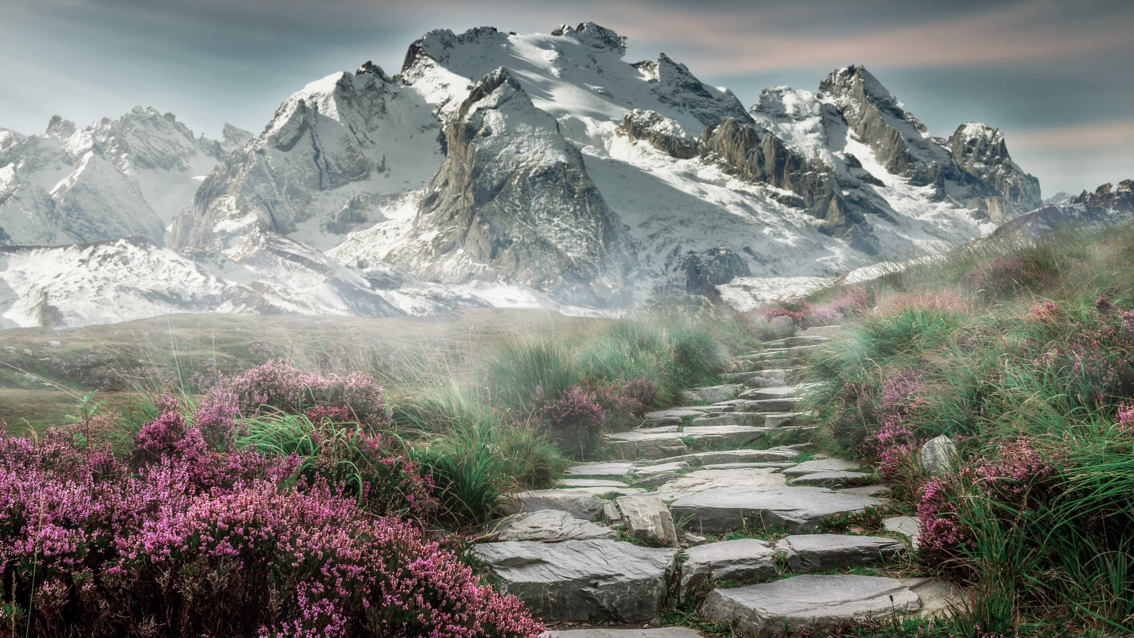 绿茵棋盘与篮球图腾，当西亚卡姆的节奏预言英超争冠之夜