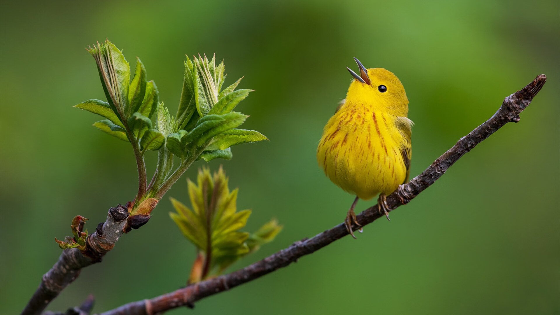 稳固如山，里昂一役锁定世界排名战局的独特瞬间