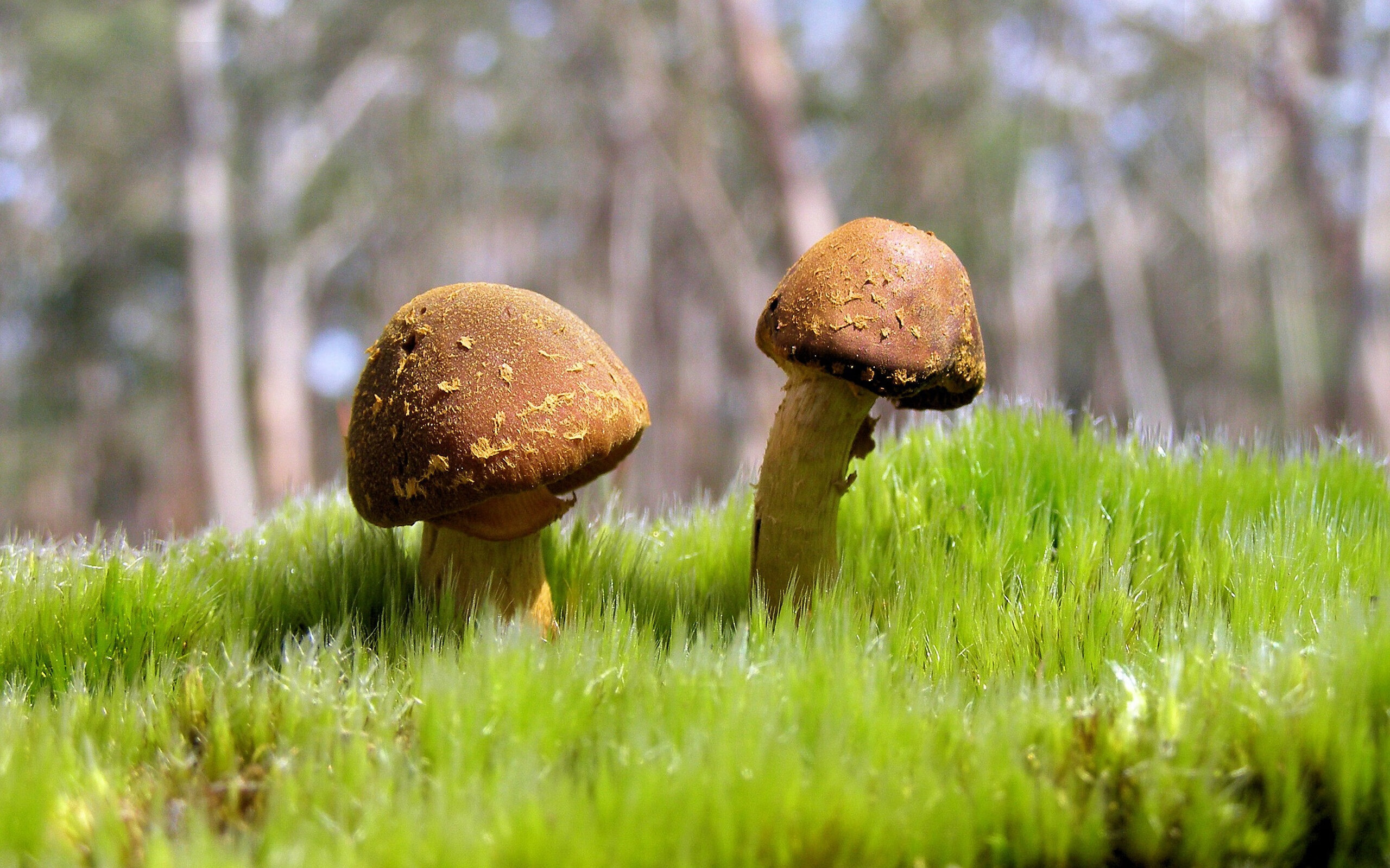 本泽马征服非洲雄鹰！亚特兰大友谊赛上演个人秀，统治级数据震撼足坛