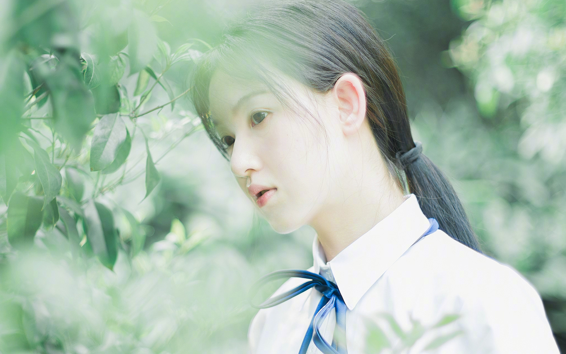 唯一的败者，唯一的王