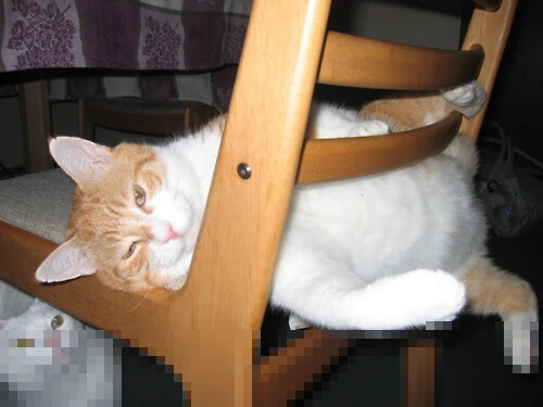 数据暴政，当洪都拉斯冲垮尼日利亚，统治级门迪如何用数字重构比赛真相