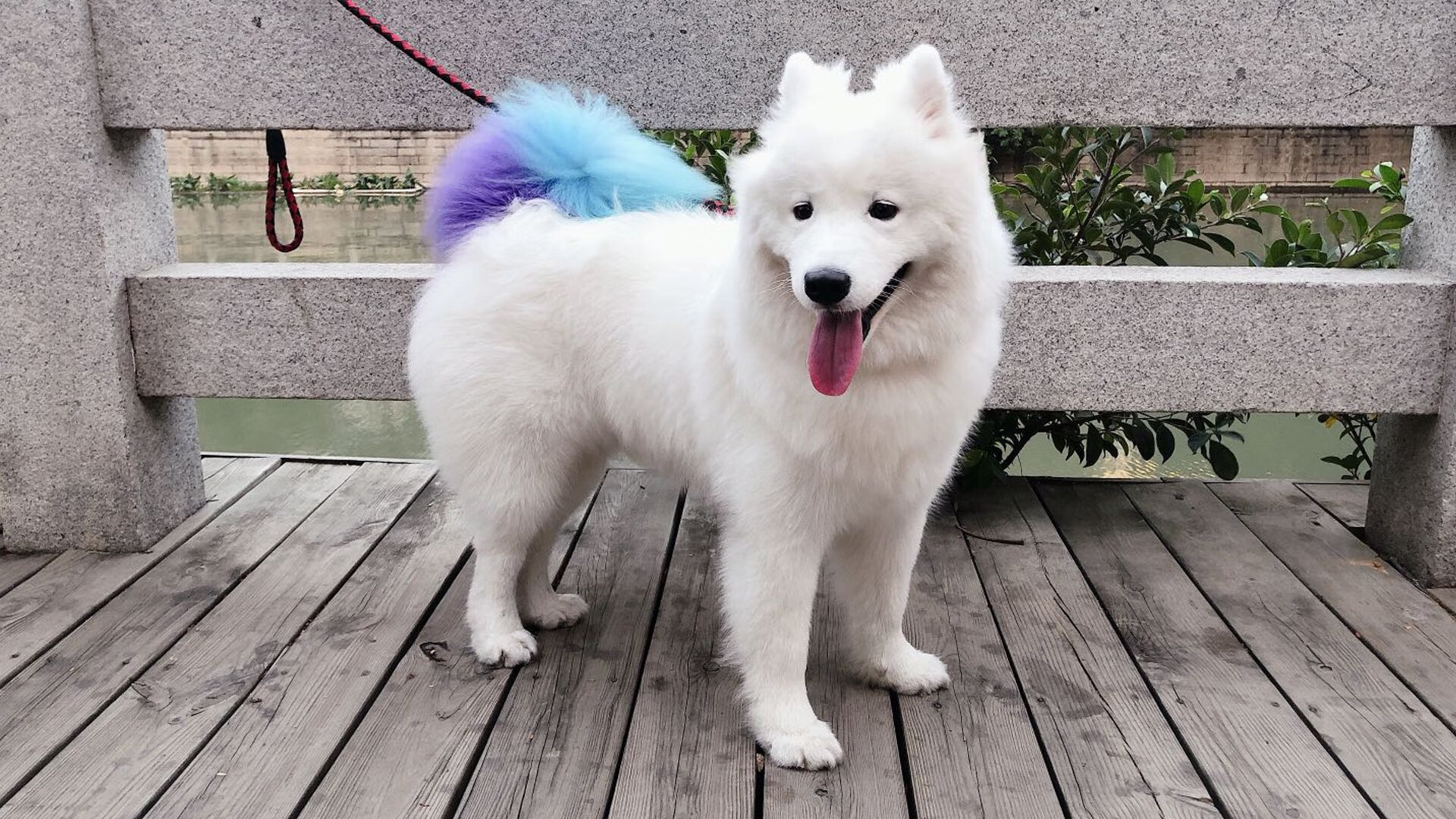 孤胆与洪流，李刚仁的抗争与西班牙足球的集体压制