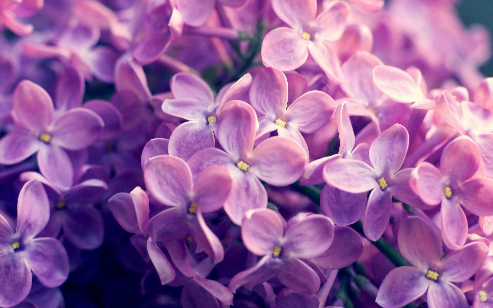 数据风暴席卷美航中心,贝恩的全面爆炸如何重塑骑士与独行侠的宿命对决