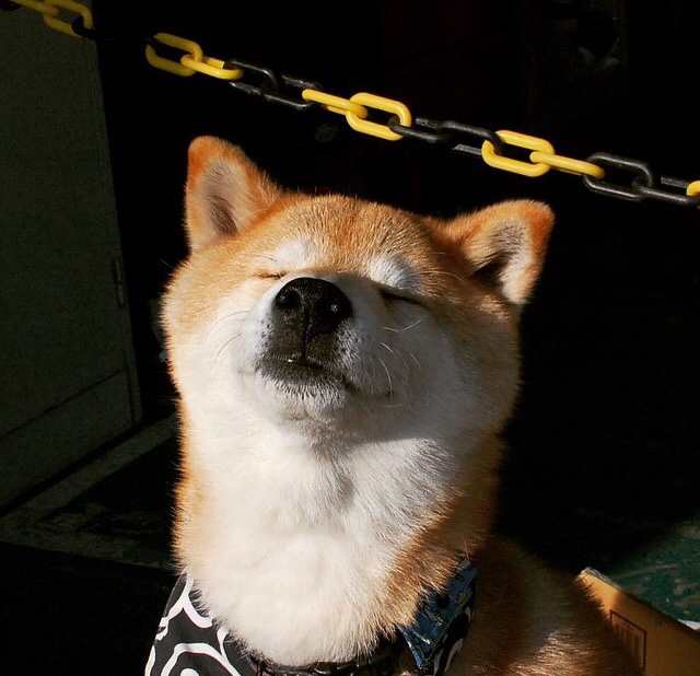 塔图姆的独白，当星辰不为银河所定义