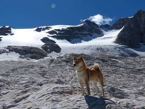 一战定乾坤，西班牙力克乌克兰，震动欧洲篮球奥运版图