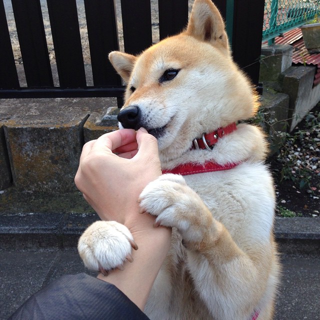 唯一性的体育之夜，马赛足球的团队辉煌与戈麦斯篮球的个人传奇