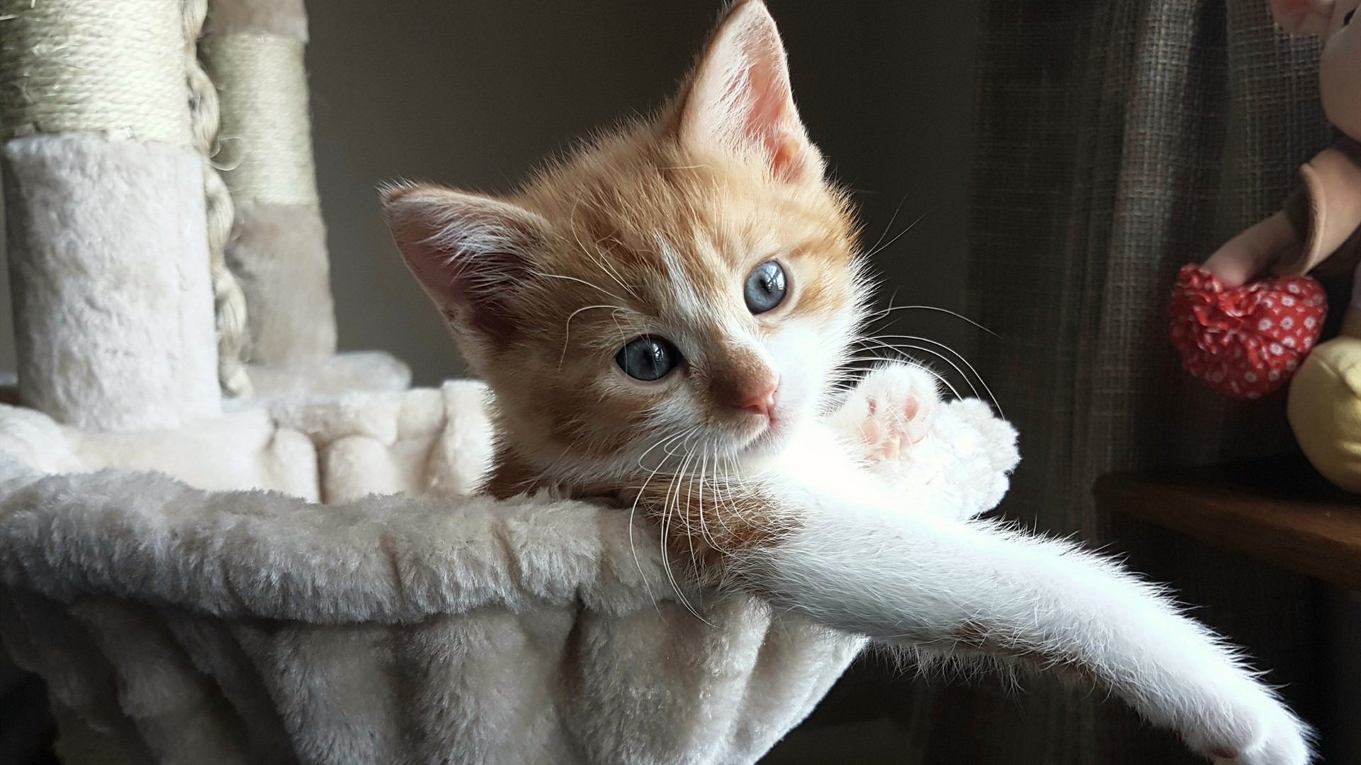 黄色潜水艇击沉斑马军团，厄德高灵动一刺造就绝杀经典