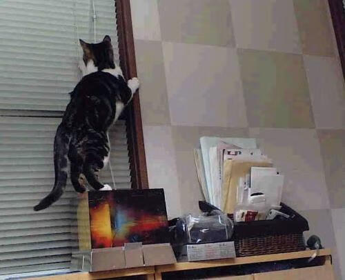 芬兰足球收割挪威，奥亚尔萨瓦尔在意甲焦点战接管比赛的启示