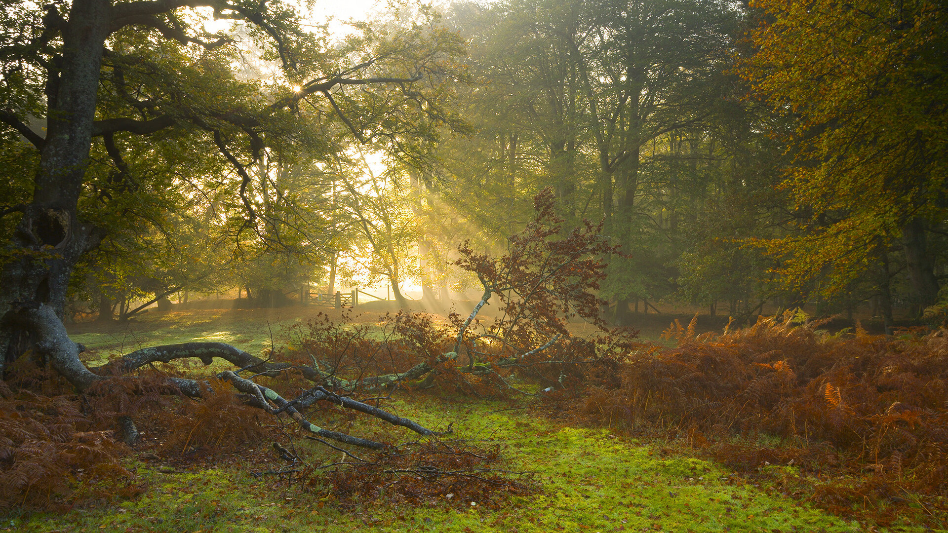 篮球场上的诺坎普奇迹，卡瓦哈尔的三分绝杀与自我救赎