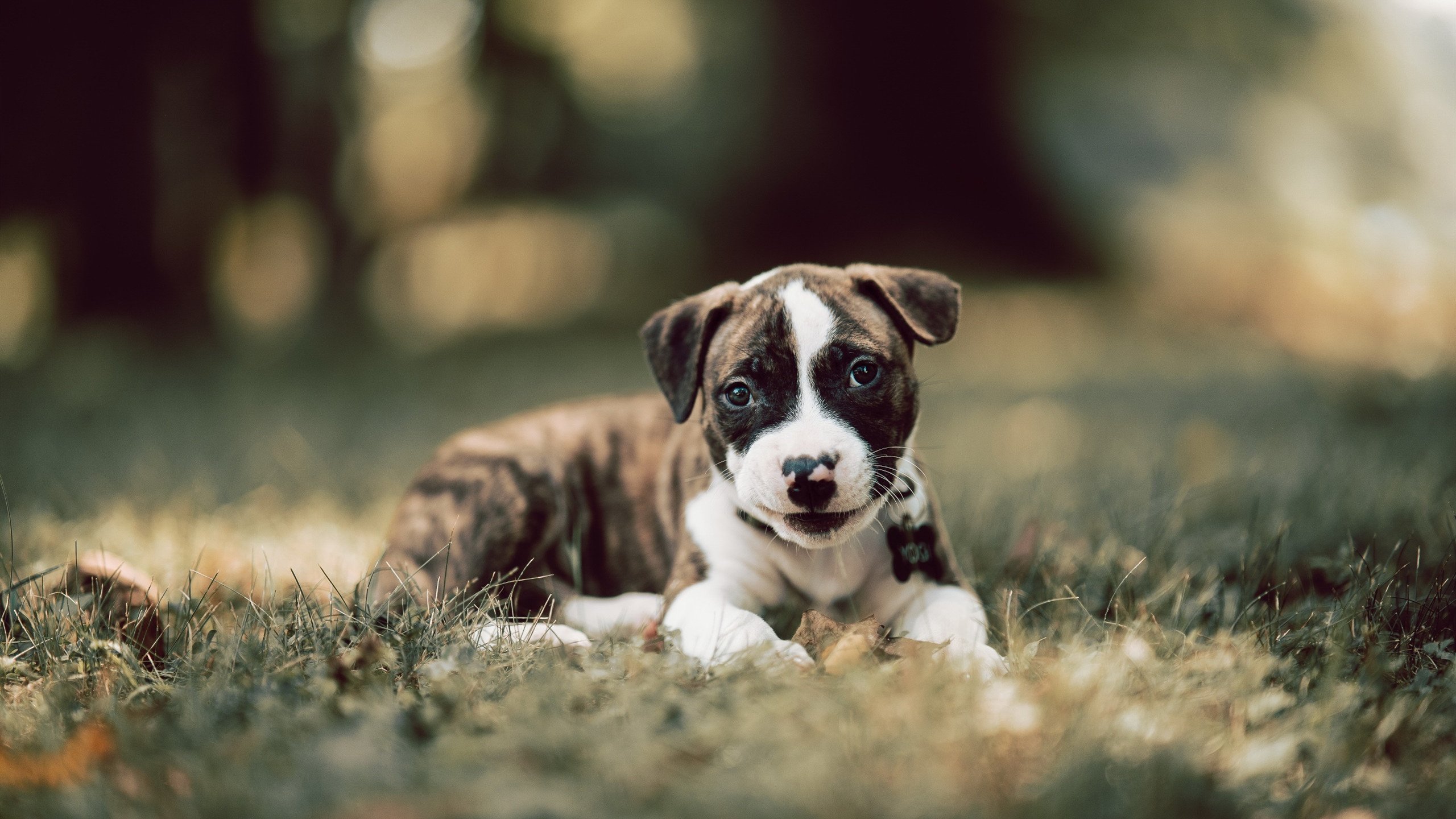 足球上帝开的最大玩笑,当德国铁卫成为巴拉圭的关键先生