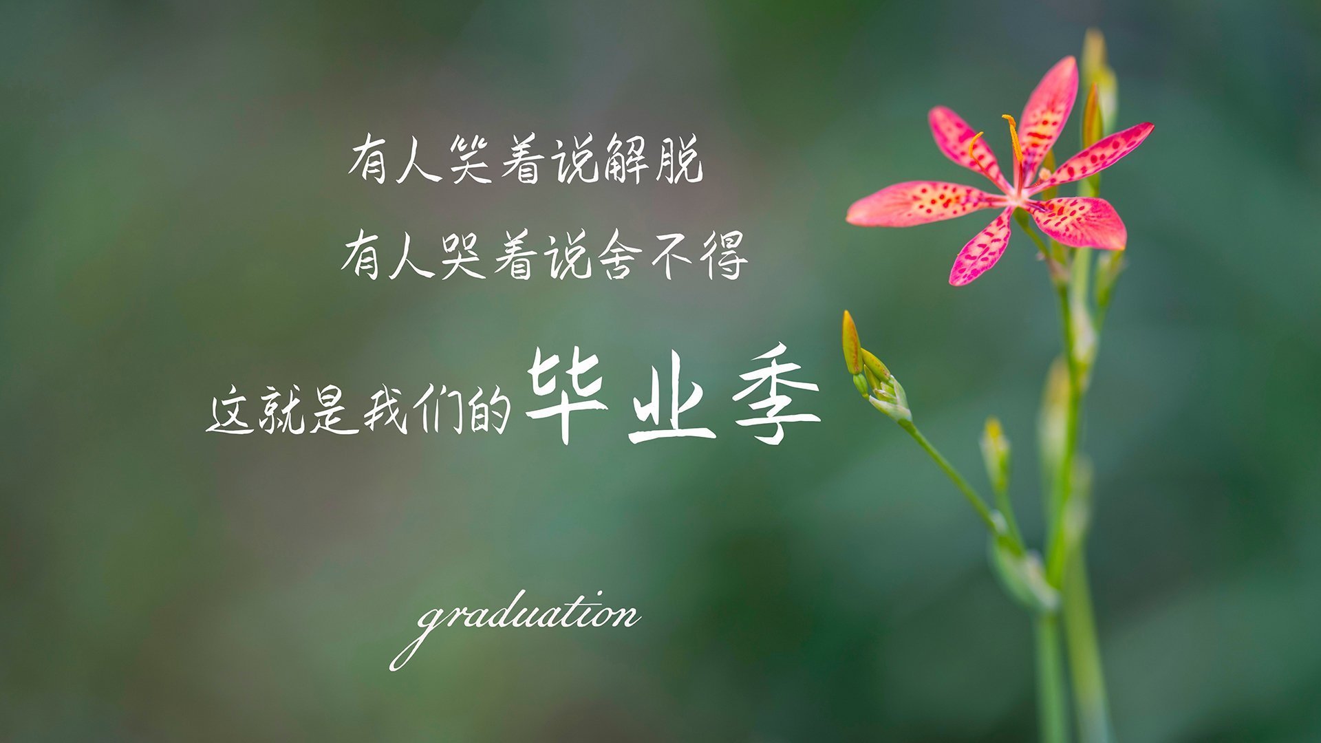 疾风破盾,莫兰特如何用攻防转换的利刃,刺穿爵士的钢铁堡垒