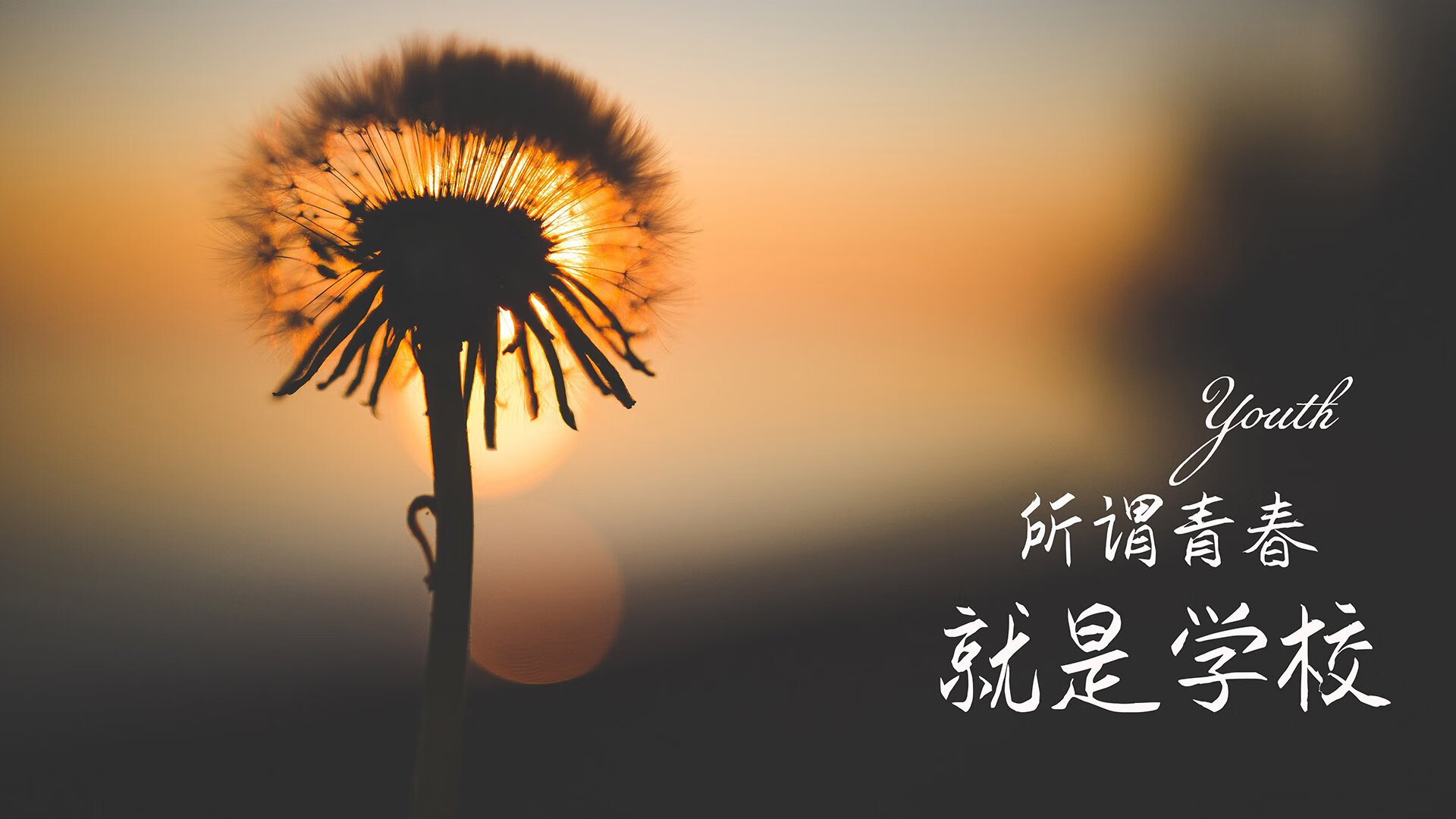 唯一的一战封神，2026世界杯G组，哈兰德助奥地利横扫冰岛，进攻美学极致演绎