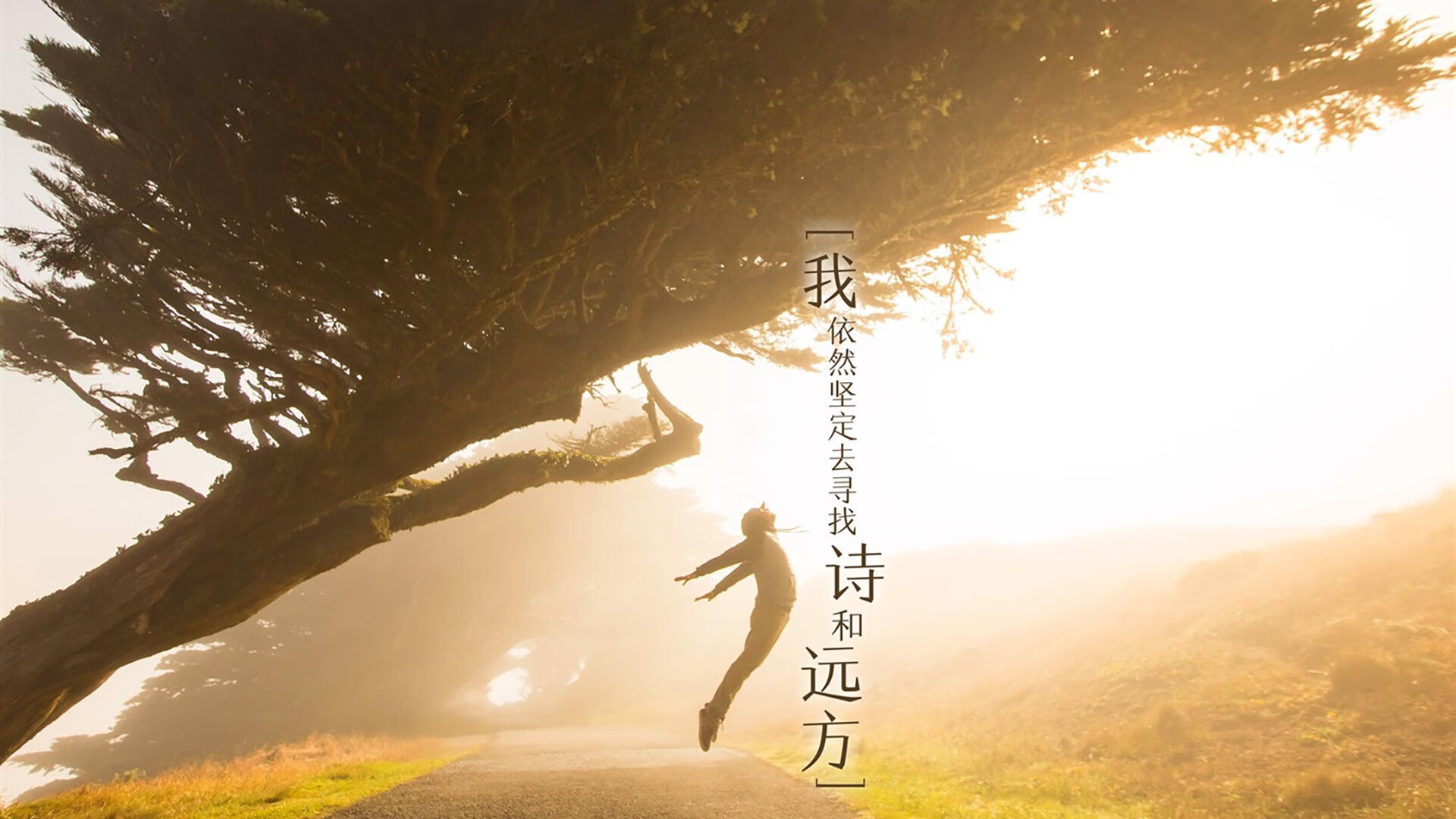 一夫当关，蓝衣退散，2026世界杯H组生死战，比利时黄金一代绝境逢生，险胜意大利