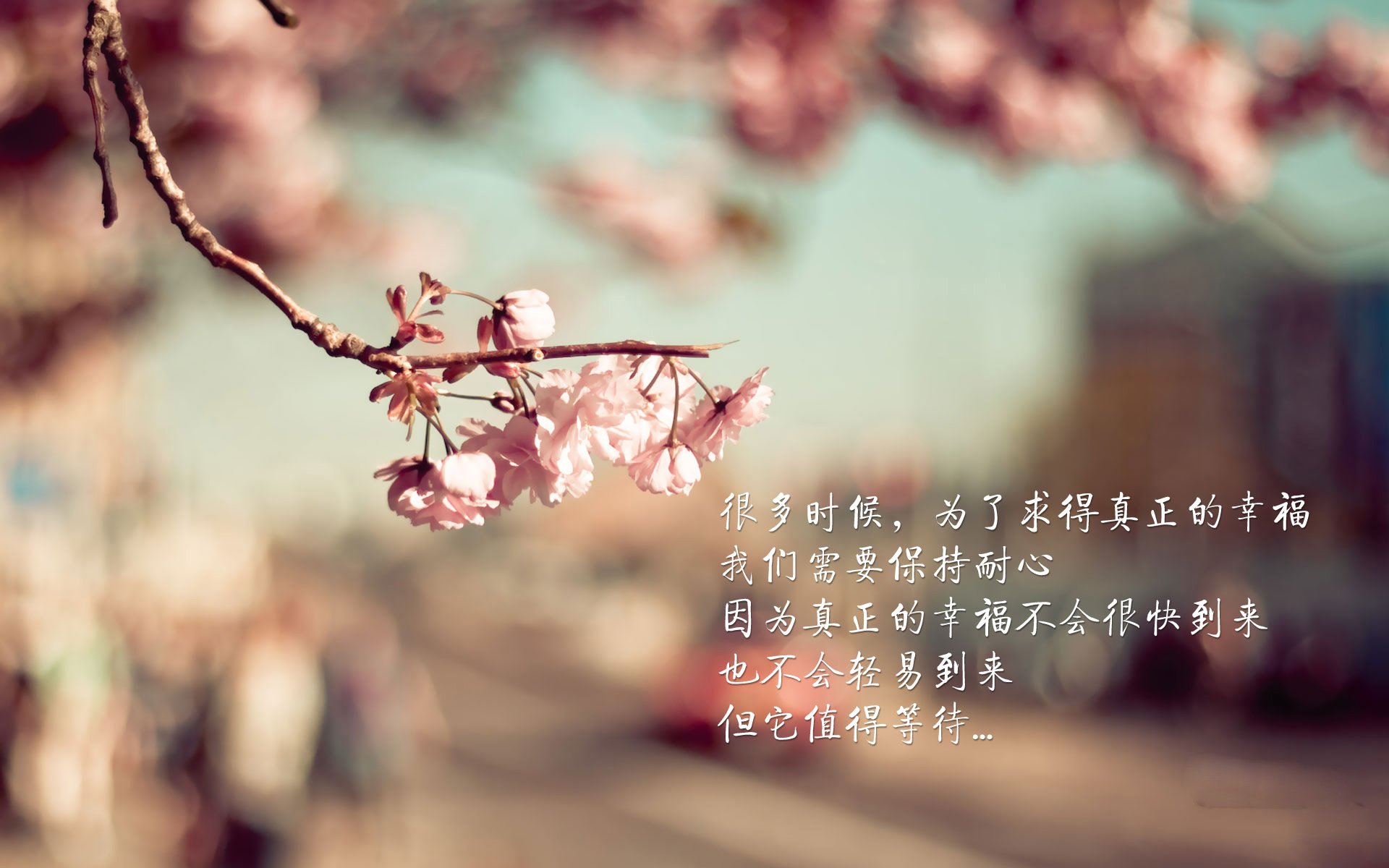 慕尼黑之夜的唯一注脚,穆西亚拉一剑封喉,瑞士钢铁防线碾碎伊拉克世界杯梦想